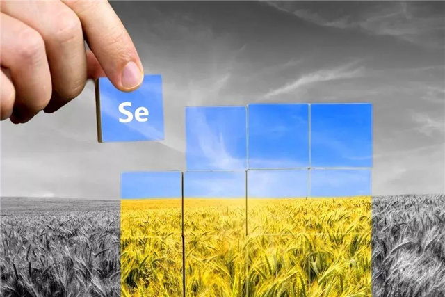 �������Ӽ�