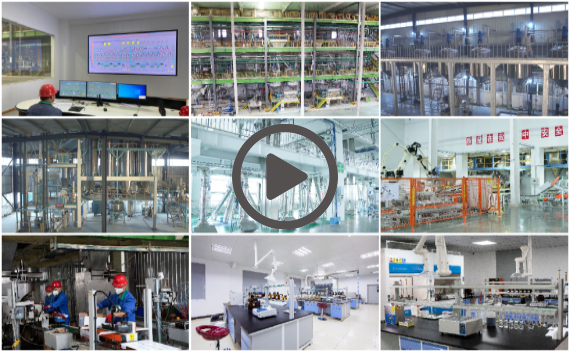 bbin��ӯ����������Ƭ