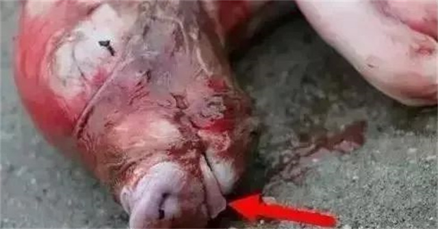 �ж�ĸ���Ƿ�����3������ĸ���ӹ���λ