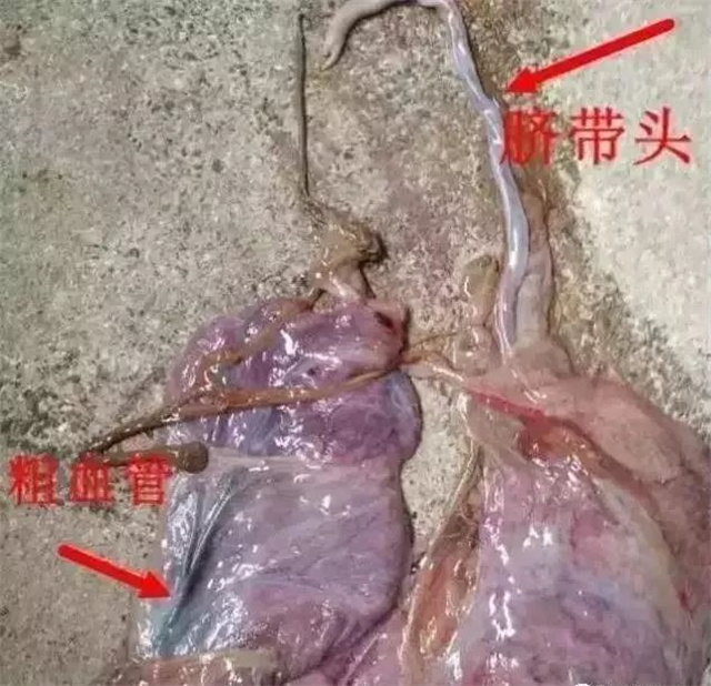 �ж�ĸ���Ƿ�����1���������ͷ