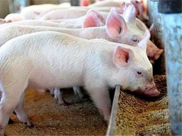 �������Ӽ�