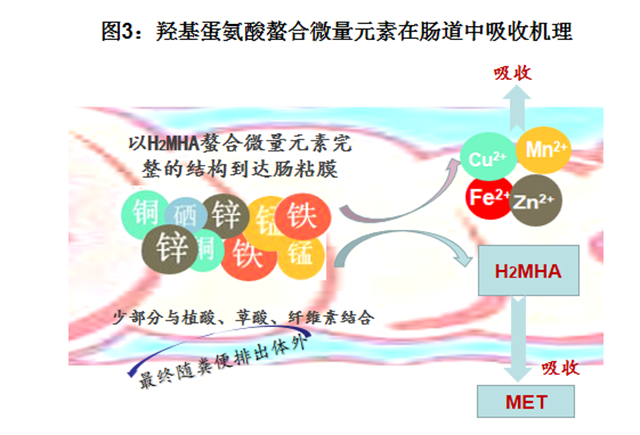 �������Ӽ�